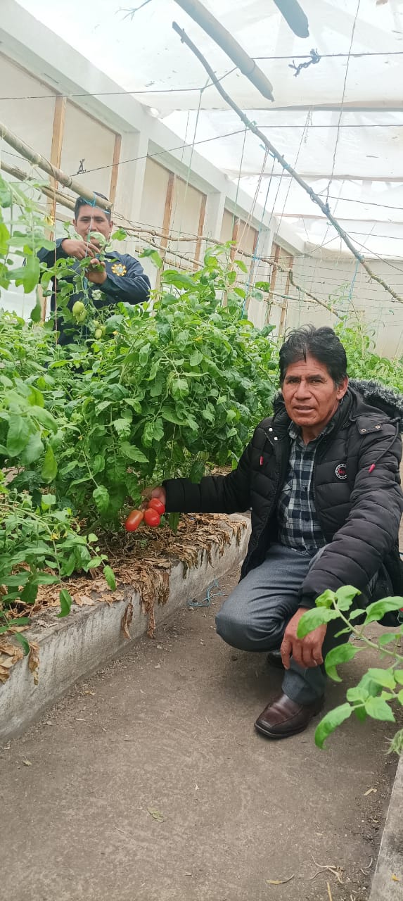 PROGRAMA DE ESTUDIOS: PRODUCCIÓN AGROPECUARIA
